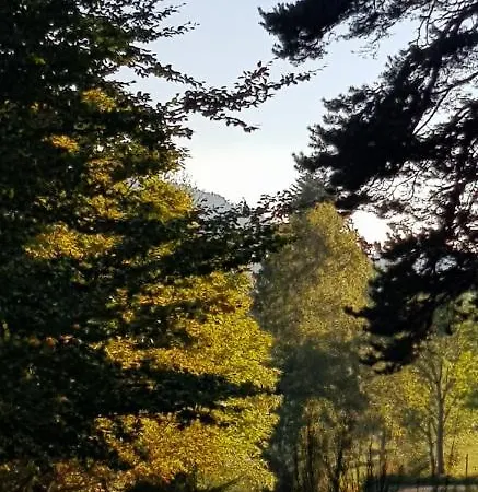 Chez Nave Au Pied Du Meygal Apartament *