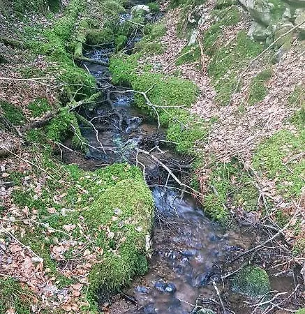 Chez Nave Au Pied Du Meygal Apartament *