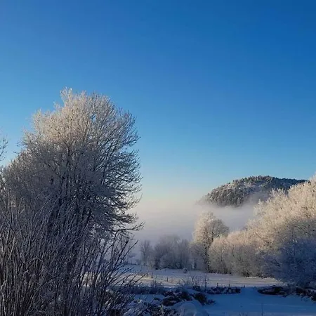 Chez Nave Au Pied Du Meygal Apartament *